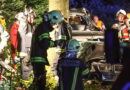 Oö: Auto in Ottnang am Hausruck gegen Baum geprallt → Lenker eingeklemmt