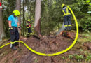 Oö: Rasches Eingreifen verhindert größeren Waldbrand in St. Florian am Inn