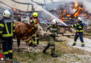 Oö: Großbrand in Feldkirchen bei Mattighofen → Stallgebäude vollständig zerstört, 17 Wehren im Einsatz