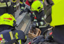 Nö: Küchenbrand in Gmünd → Feuerwehr rettet zwei Pythons aus verrauchten Wohnräumen