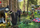 Sbg: Pferde nach Anhängerabsturz in Tamsweg aus Notlage gerettet