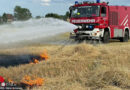 Nö: Verdacht auf Brandstiftung bei Vegetationsbrand in Kottingbrunn