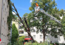 Bayern: Baum in München auf Hausdach gestürzt