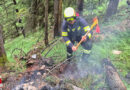Oö: Zwei fordernde Einsätze für den Waldbrandstützpunkt der FF St. Agatha