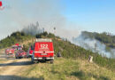 Stmk: Ermittlungen nach Millionen-Wald-Großbrand von Eisbach abgeschlossen