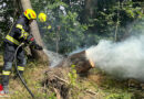 Nö: Baumstumpfbrand vor Ausbreitung auf Waldstück gelöscht