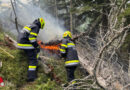Stmk: Waldbrand im steilen Gelände in Krieglach