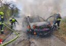 Nö: Brennender Pkw mit Flammenausbreitung auf Vegetation bei Breitenwaida in Hollabrunn
